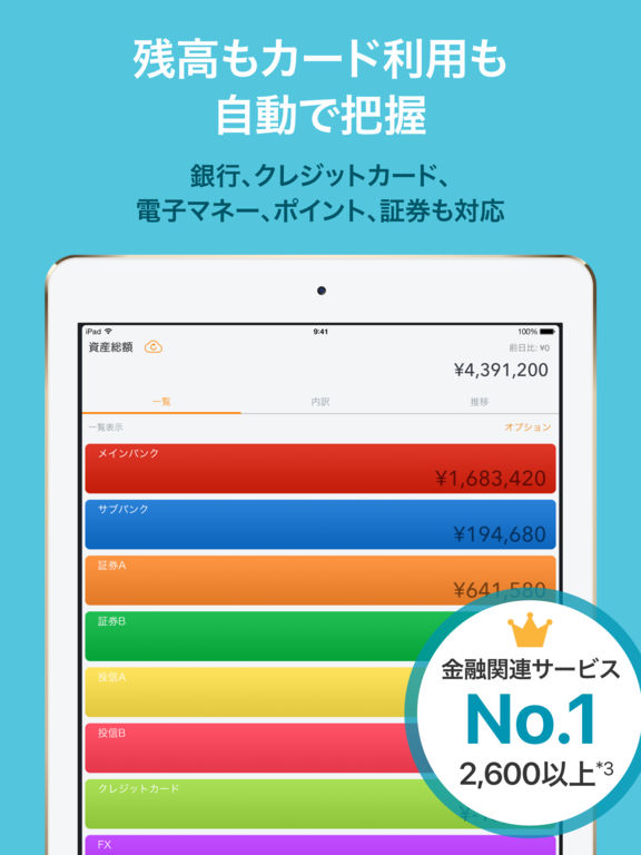 iPad Screenshot 4