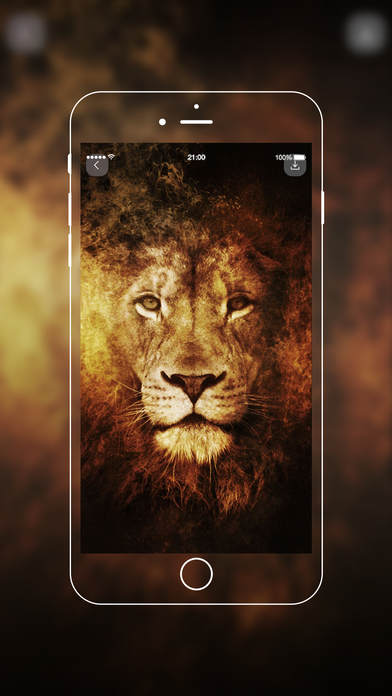 HD Wallpaper-iPhone Background screenshot 3