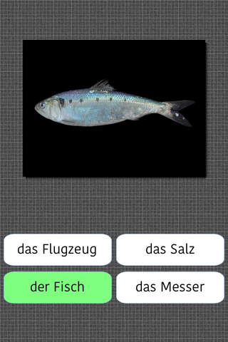 German Words language learning app screenshot 3