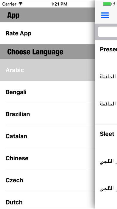 Foreign Language Dictionary screenshot 2