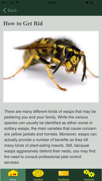 How To Get Rid Of Wasps screenshot 3