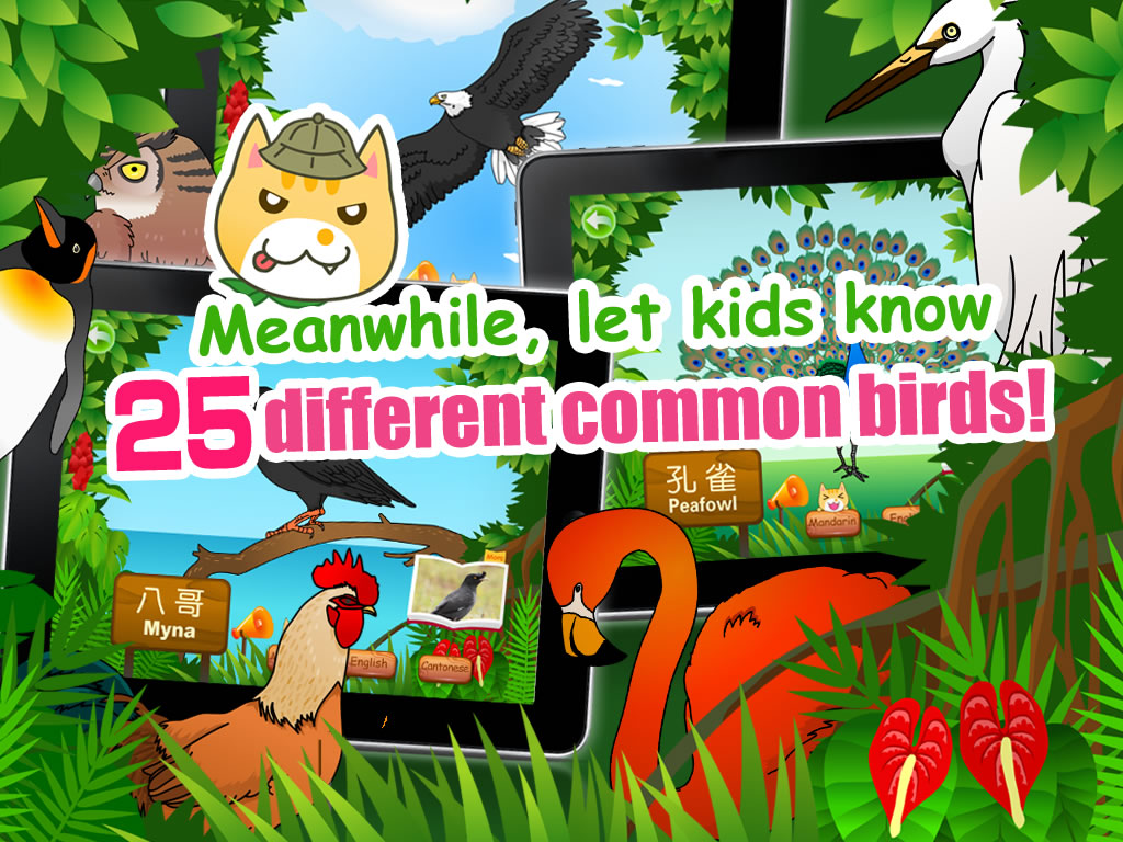 Birds for Kids HD - FREE Game - 猫猫探秘飞鸟乐园HD -普通话+粤语+英语发音(免费版) - 貓貓探秘飛鳥樂園HD -普通話+粵語+英語發音(免費版) 