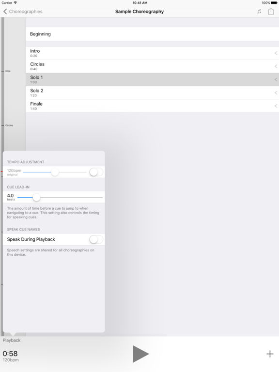 iPad Screenshot 2