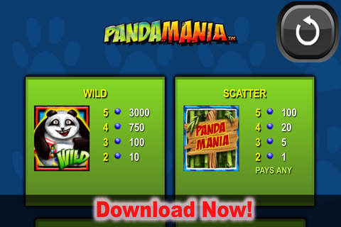 Panda Mania - Casino Slots Machine screenshot 4