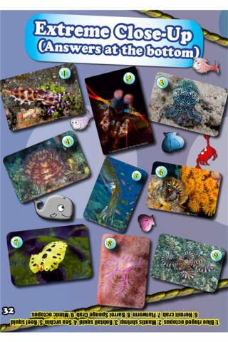 Sea Urchins magazine screenshot 2