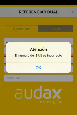 Audax Energia SA screenshot 2