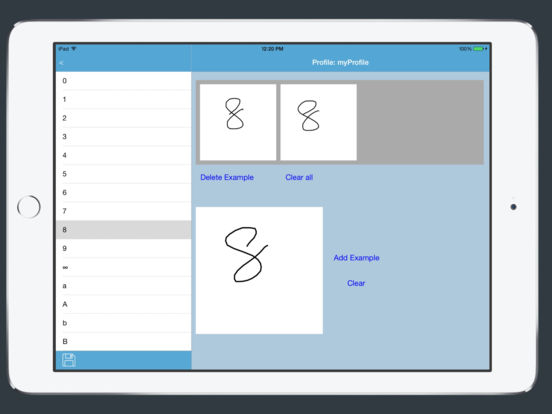 iPad Screenshot 5