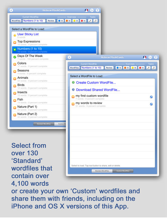 iPad Screenshot 5