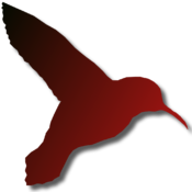 Kolibri