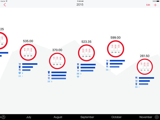 iPad Screenshot 1