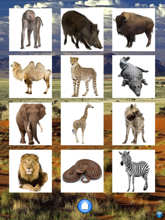 Животные Африки для iPad