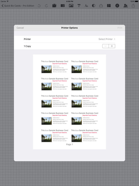 iPad Screenshot 2