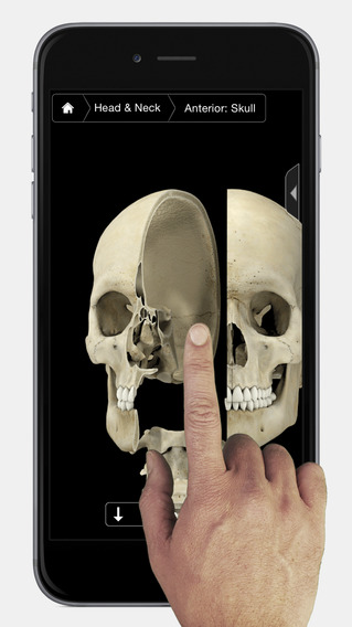 iPhone Screenshot 1