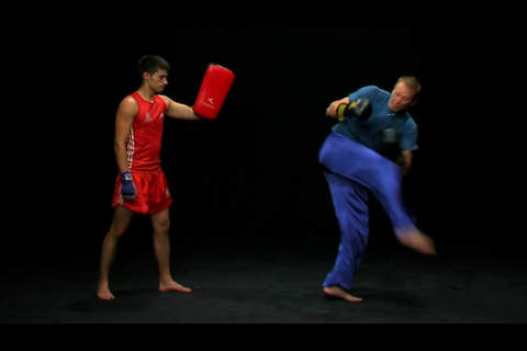 Sanda - Chinese Boxing screenshot 2