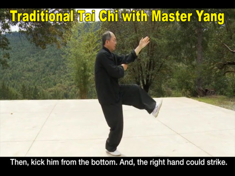 免費下載健康APP|Yang Tai Chi for Beginners Part 2 & 3 (Dr. Yang, Jwing-Ming) app開箱文|APP開箱王