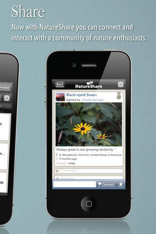 Audubon Wildflowers screenshot 4