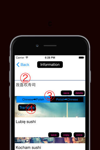 Chinese to Polish Translator Language & Dictionary screenshot 2