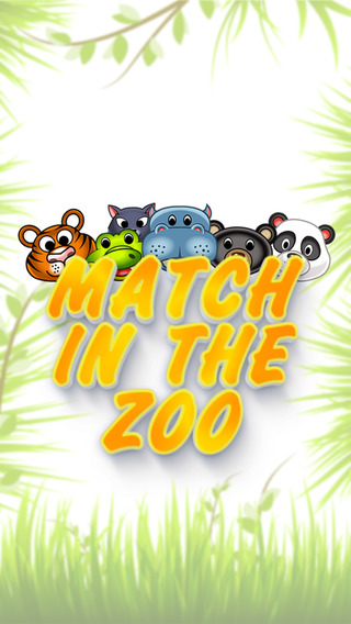 Match in the zoo