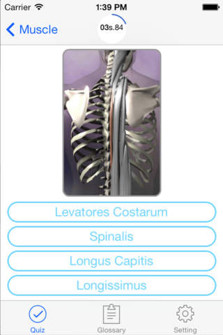 Anatomy, Physiology Quiz and Glossary for iPhone screenshot 2