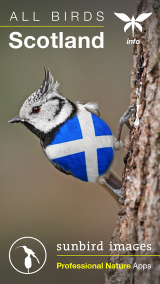 All Birds Scotland - A Complete Fieldguide to the Official List of Scottish Bird Species