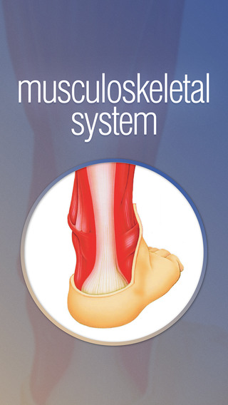Miniatlas Musculoskeletal System