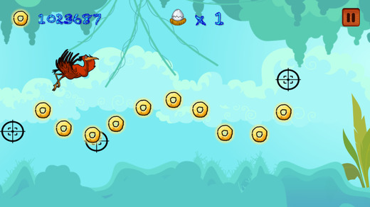 Adventure Zoo Bird-s Tiny Wing Escape Rush for Free