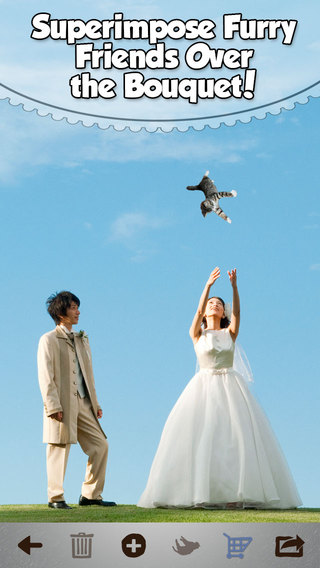 Brides Throwing Cats - The Best Wedding Planner Photos Featuring Flying Cat and Kitten Bouquets