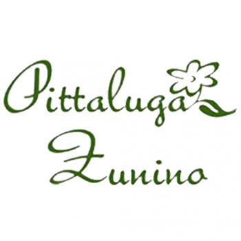 Pittaluga Zunino LOGO-APP點子