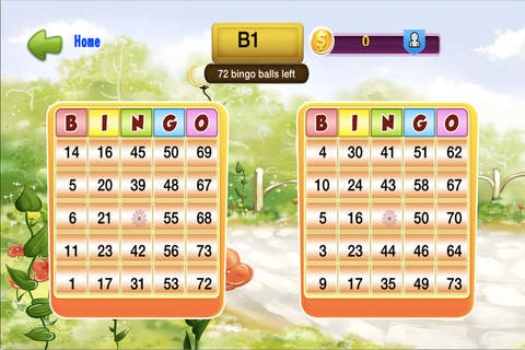 AAA+ Butterfly Bingo For Free - Best Classic Board Ball-game Players Madness screenshot 4