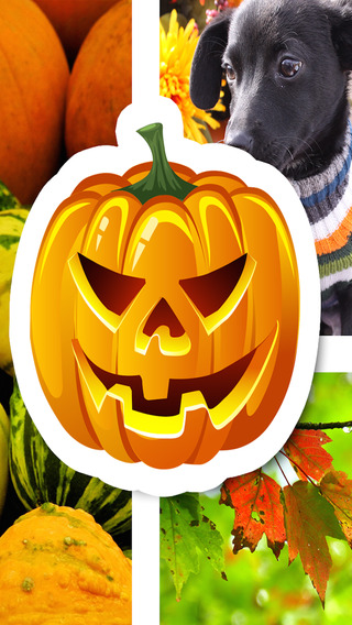 【免費攝影App】Halloween Picture Stickers: The Scary Photo Maker-APP點子