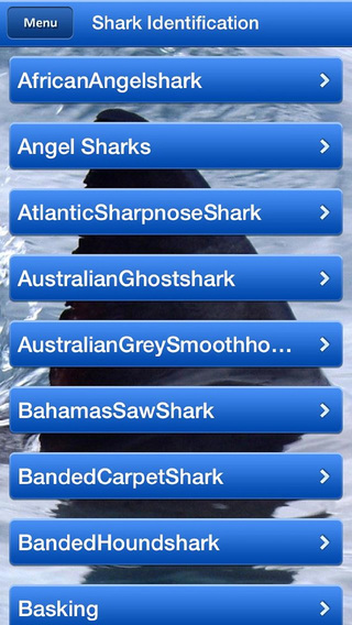 免費下載書籍APP|Shark Bytes Free app開箱文|APP開箱王