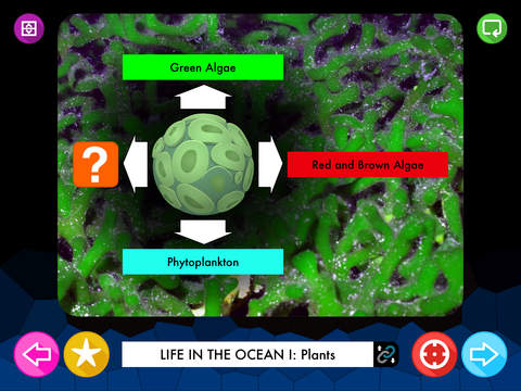 Nature for Kids: Life in the Ocean screenshot 2