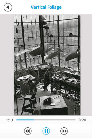Alexander Calder: Performing Sculpture screenshot 4