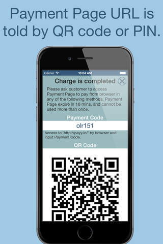 payyio - In-Store Sales by Online Payment screenshot 2
