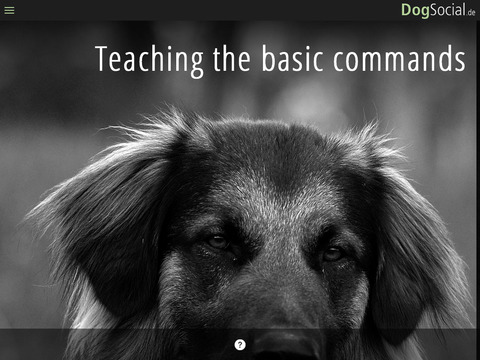 免費下載娛樂APP|DogSocial Dog Training - Teaching the Basic Commands app開箱文|APP開箱王