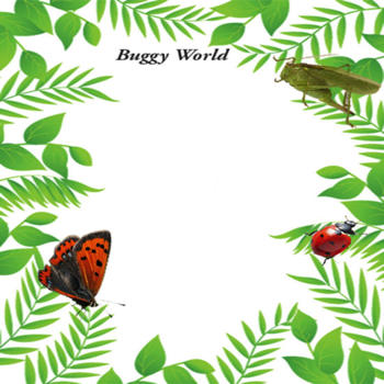 Buggy World 教育 App LOGO-APP開箱王