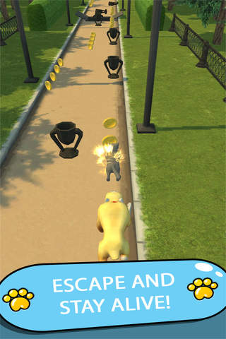 Cat Chase 3D screenshot 3
