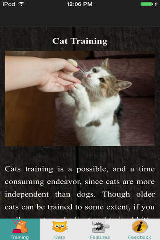 Cat Training - Litter Box Rules screenshot 3