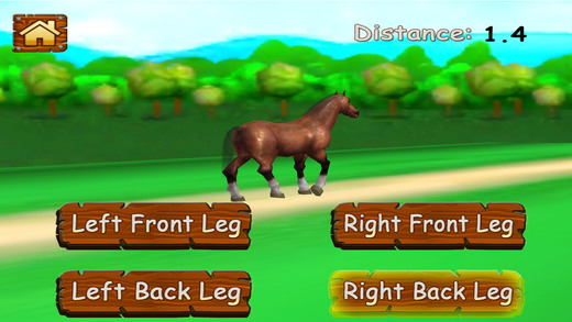 Virtual Horse Run