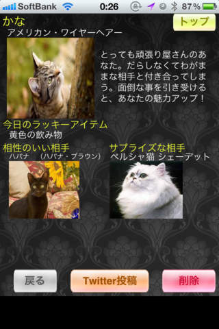 Cat divination screenshot 4