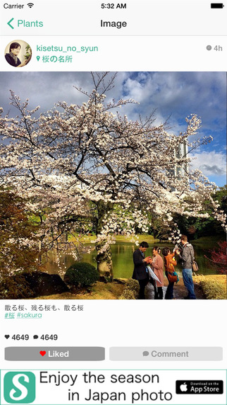 【免費攝影App】SeasonalSceneJp Enjoy the season in Japan photo-APP點子