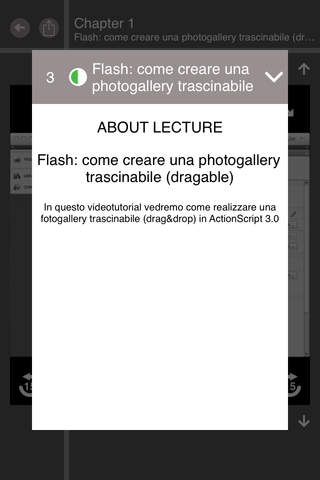 Easy To Use Adobe Flash Player Edition screenshot 2