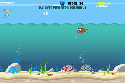 Fly FlyingFish, Fly! screenshot 3