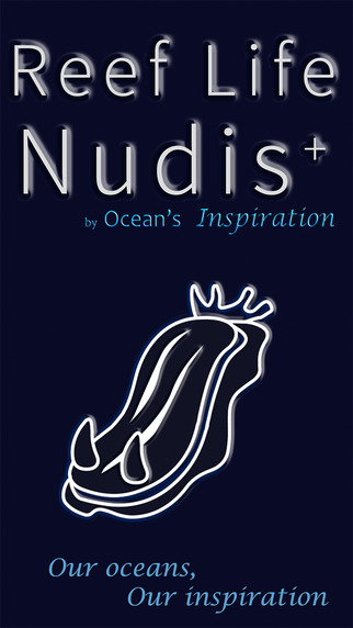 Nudibranches by Reef Life