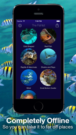 【免費生活App】Fishlist: Caribbean-APP點子