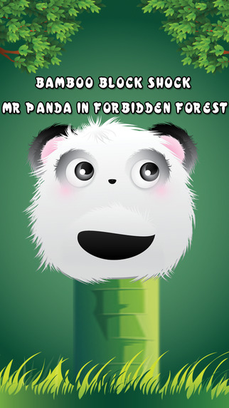 Bamboo Block Shock - Mr Panda in Forbidden Forest