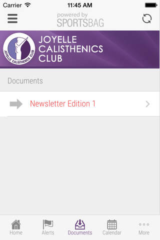 Joyelle Calisthenics Club - Sportsbag screenshot 4