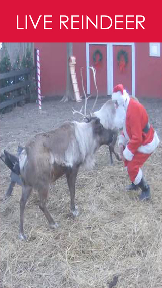 Reindeer Live - Watch Santa's Reindeer Live