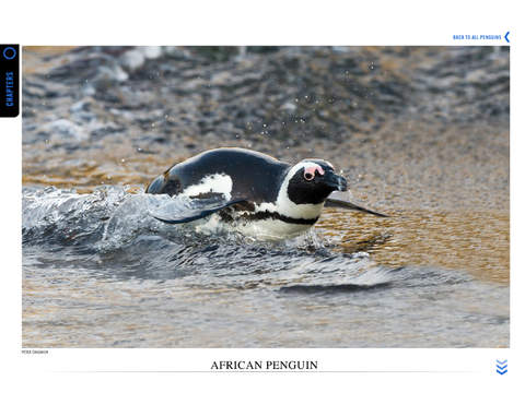 免費下載書籍APP|The Ultimate Companion for Birding in Southern Africa app開箱文|APP開箱王
