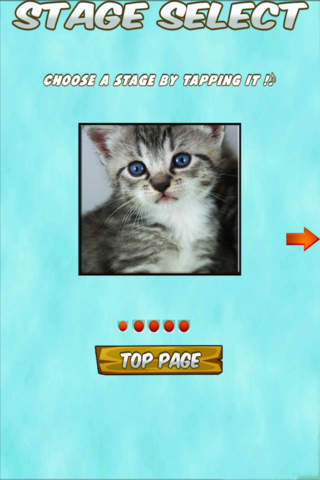 Kittens and Puppies Sliding Puzzle Pro screenshot 2